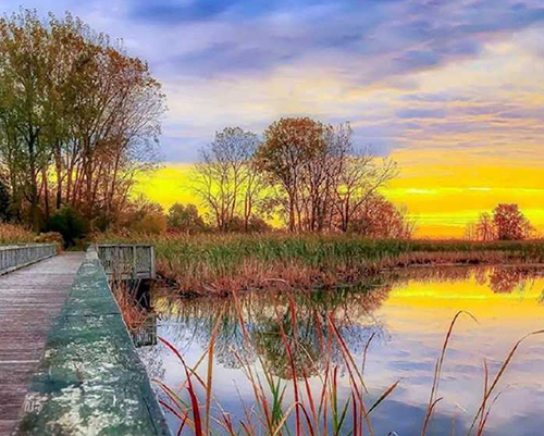 Lake Erie Metro Park