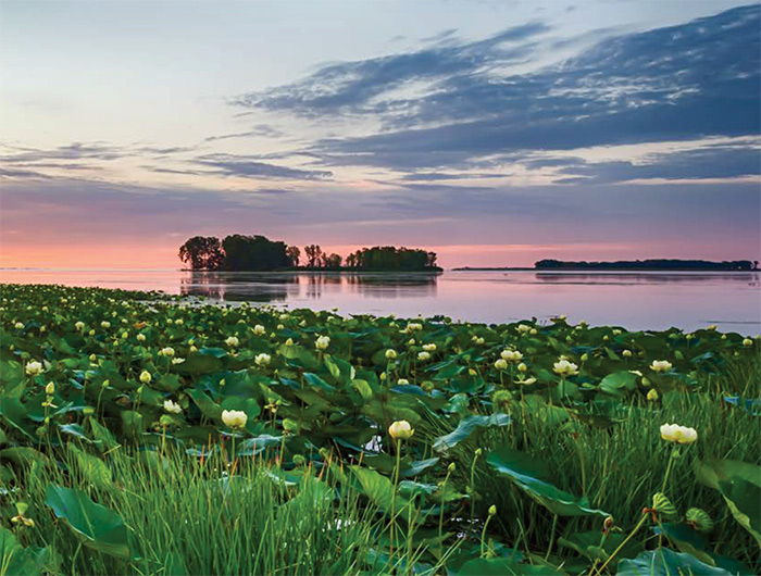 Detroit International Wildlife REfuge